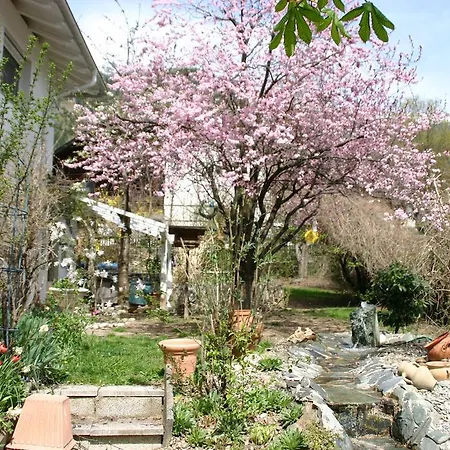 Apartment Haus Lisi