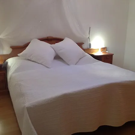 Haus Lisi Apartment